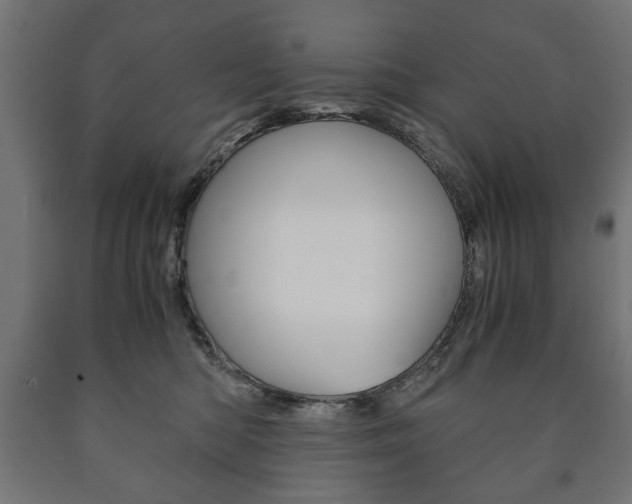 X0000090990422200708021208