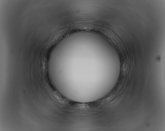 X0000090990424200708021208
