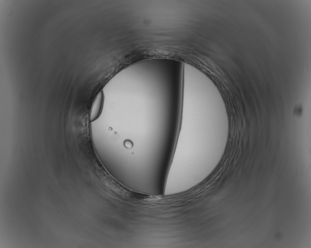 X0000090990425200708021208