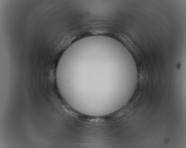 X0000090990426200708021208