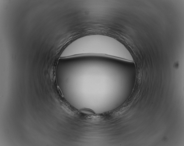 X0000090990428200708021208