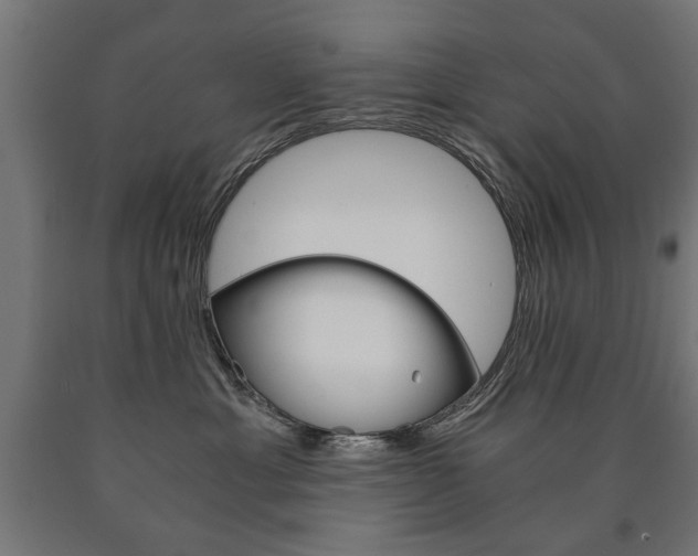 X0000090990429200708021208