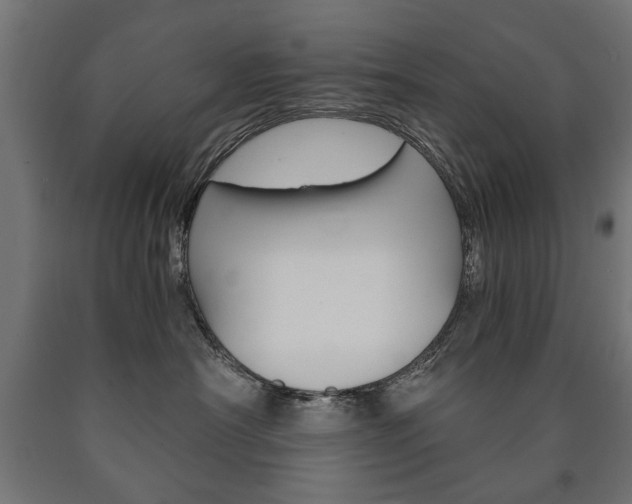 X0000090990430200708021207