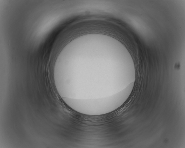 X0000090990431200708021207