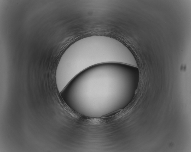 X0000090990432200708021207