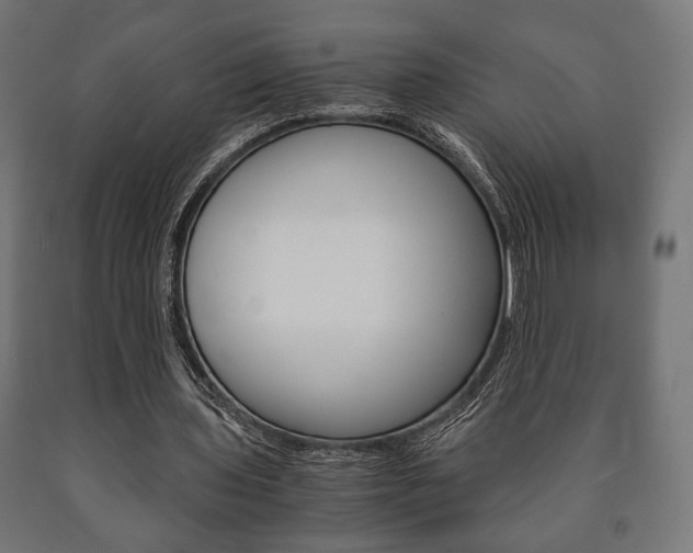 X0000090990435200708021207