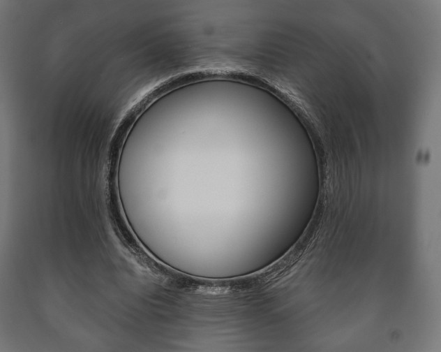 X0000090990440200708021207