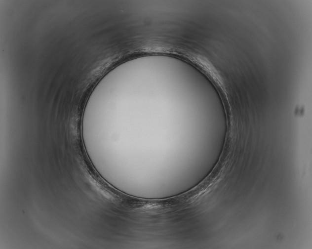 X0000090990441200708021207