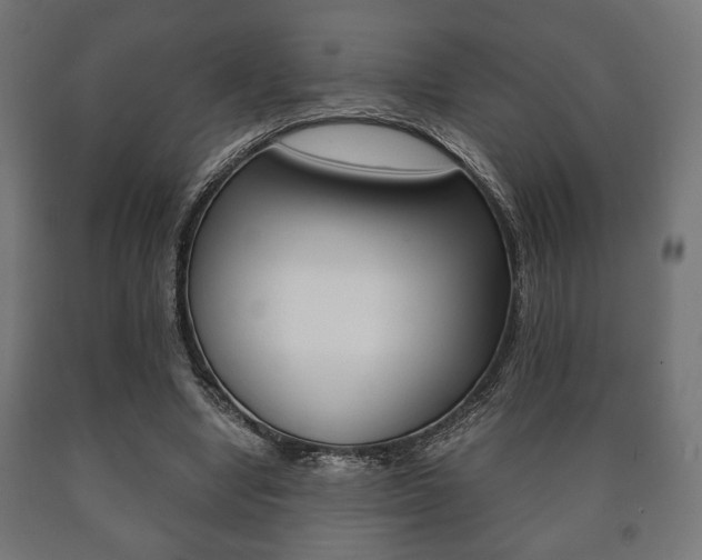 X0000090990442200708021207
