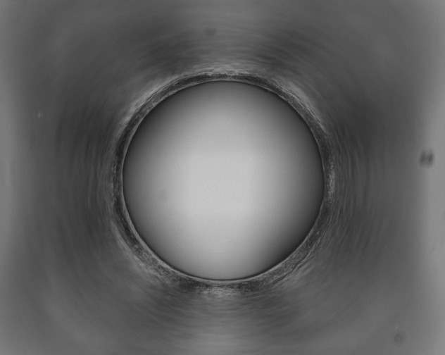 X0000090990444200708021207