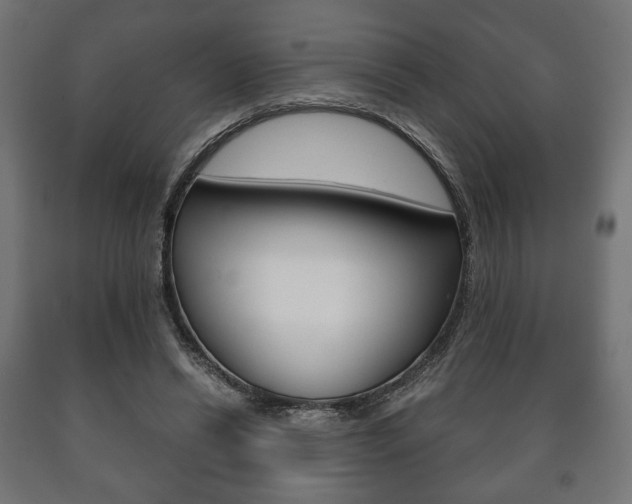 X0000090990446200708021207