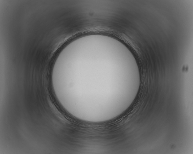 X0000090990448200708021207