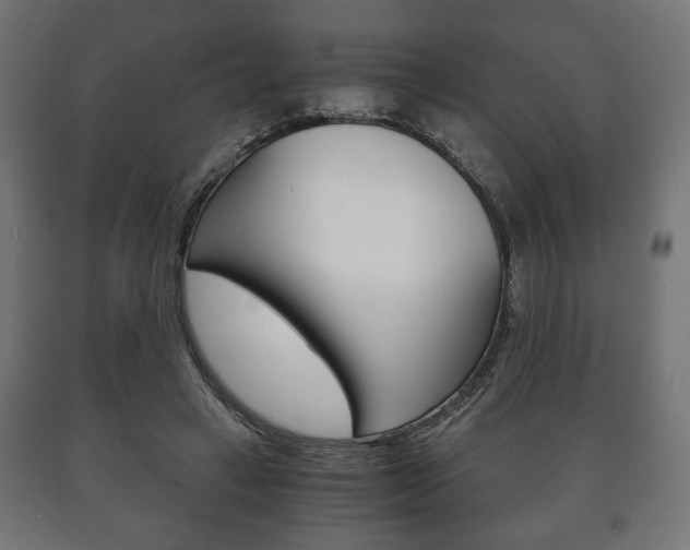 X0000090990449200708021207