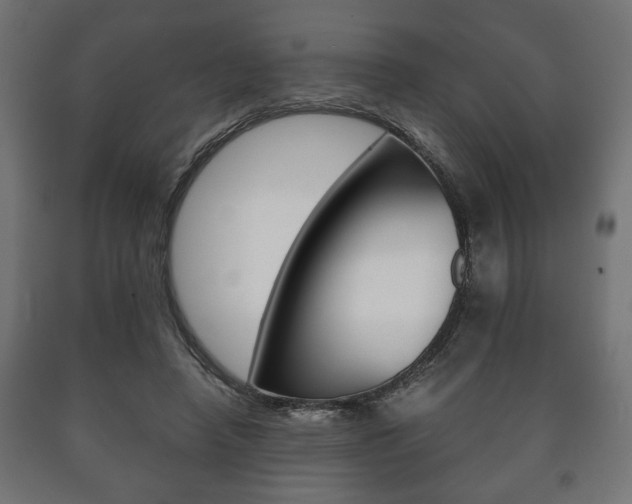 X0000090990450200708021207