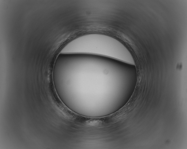 X0000090990452200708021207