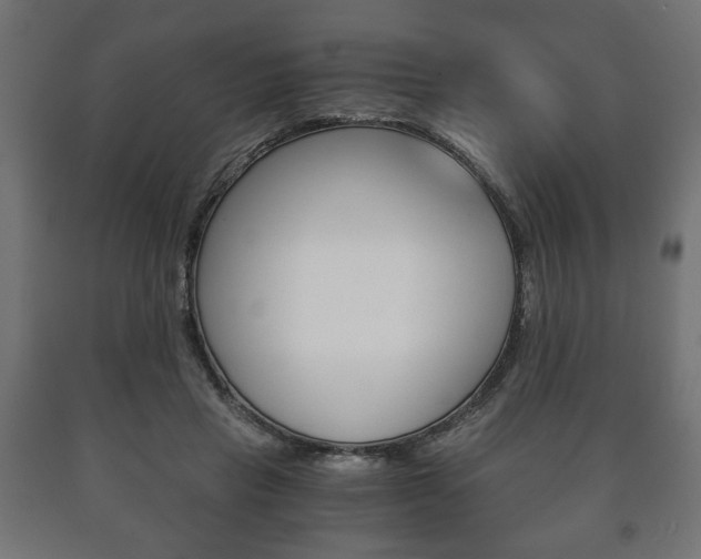 X0000090990453200708021207