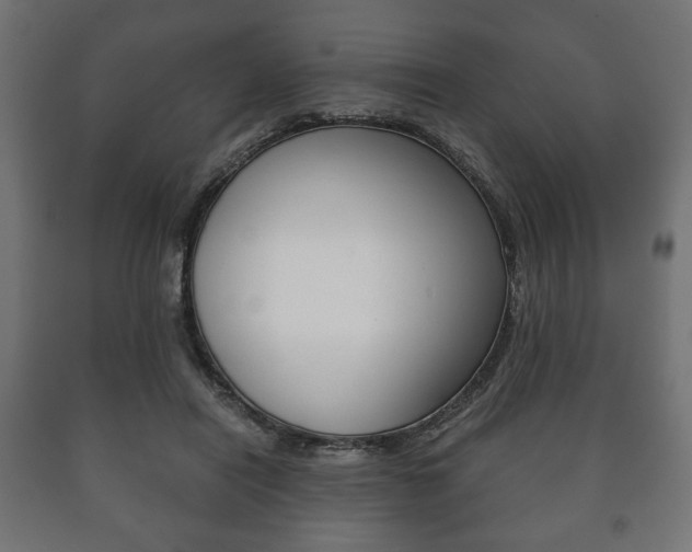 X0000090990454200708021207