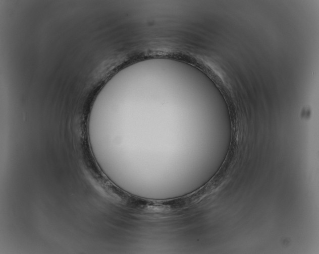 X0000090990455200708021207