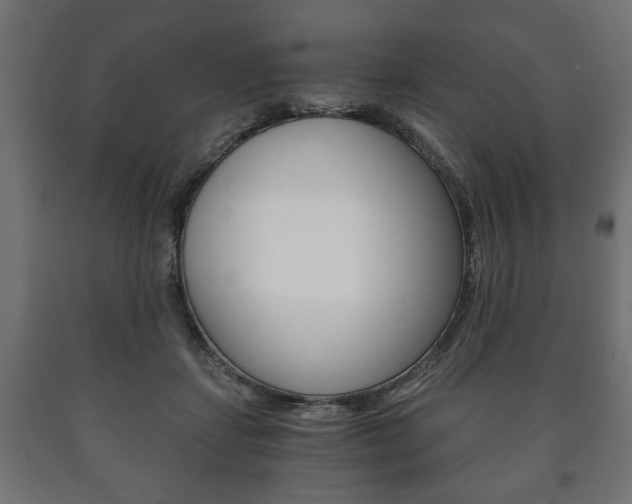 X0000090990459200708021207