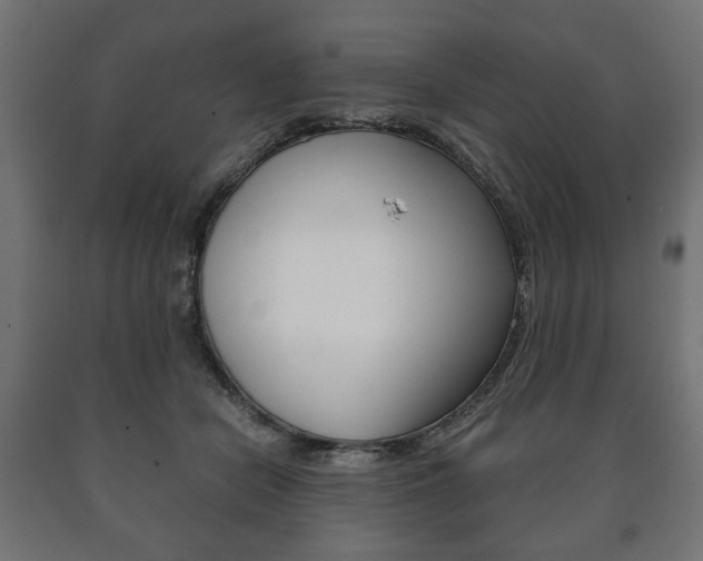 X0000090990462200708021207