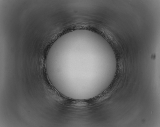 X0000090990463200708021207
