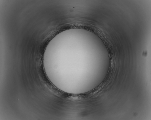 X0000090990464200708021207
