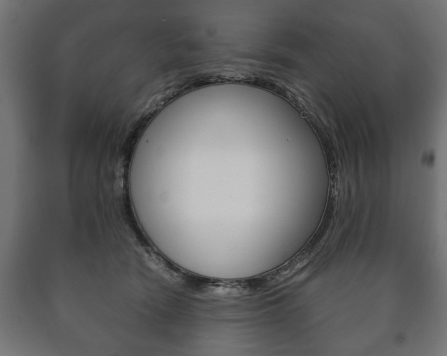 X0000090990466200708021207