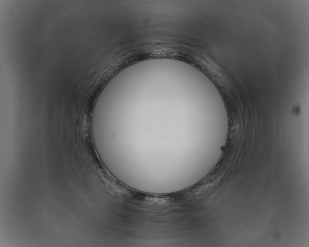 X0000090990469200708021207