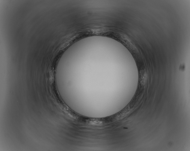 X0000090990471200708021207