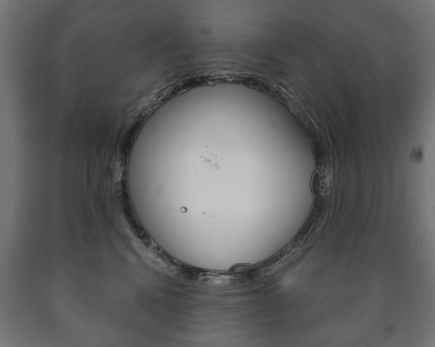 X0000090990472200708021207