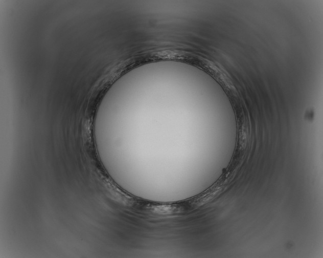 X0000090990473200708021207