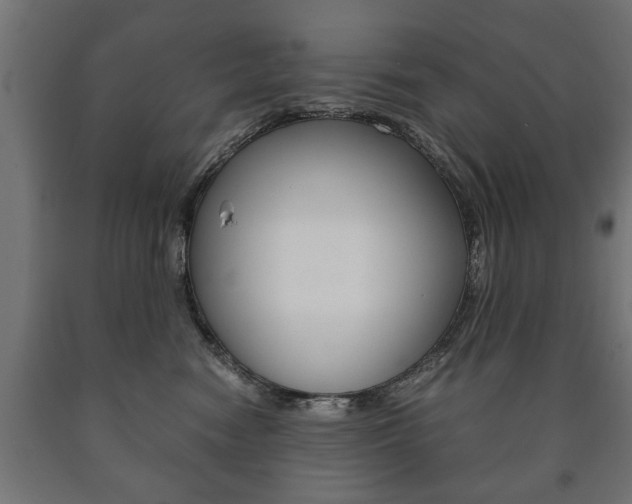 X0000090990474200708021207