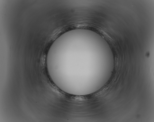 X0000090990475200708021207