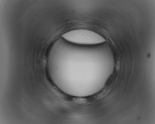 X0000090990476200708021207