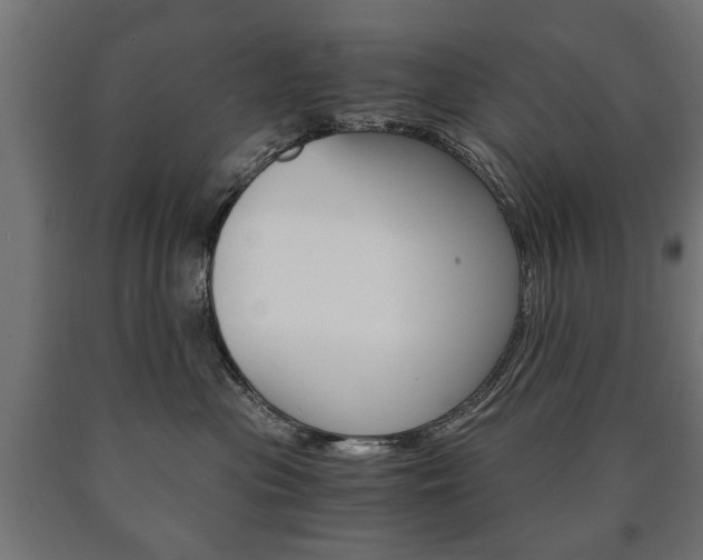 X0000090990477200708021207