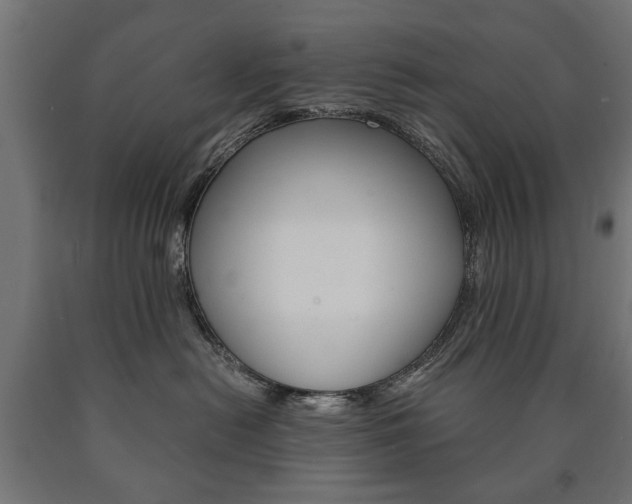 X0000090990478200708021207