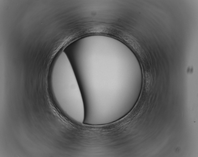 X0000090990482200708021207