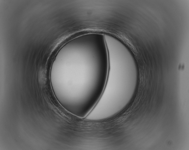 X0000090990484200708021207