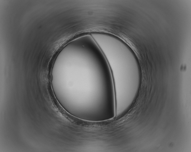 X0000090990485200708021207