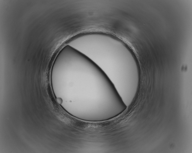 X0000090990487200708021207