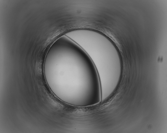 X0000090990489200708021207