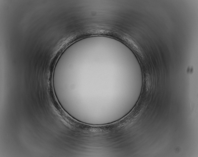 X0000090990490200708021207