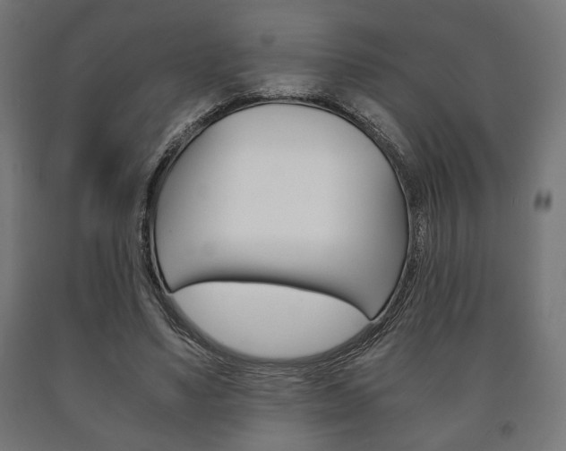 X0000090990491200708021207