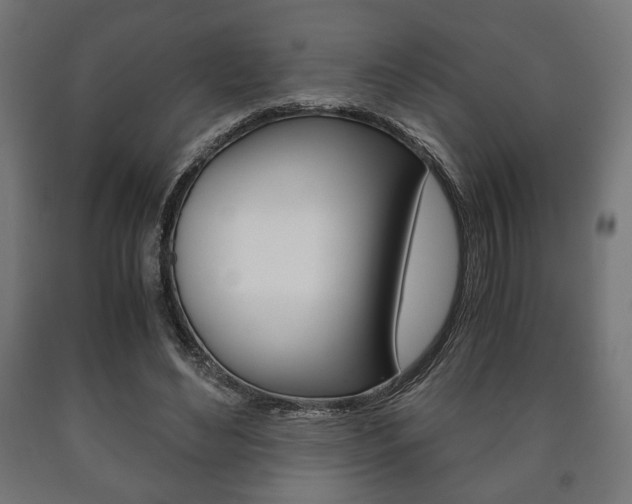 X0000090990492200708021207