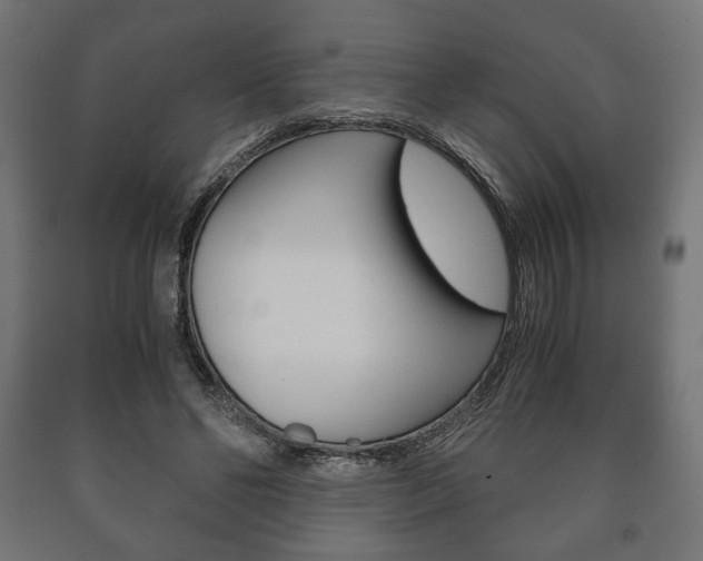 X0000090990494200708021207