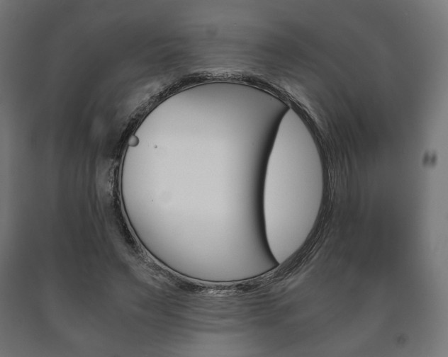 X0000090990495200708021207