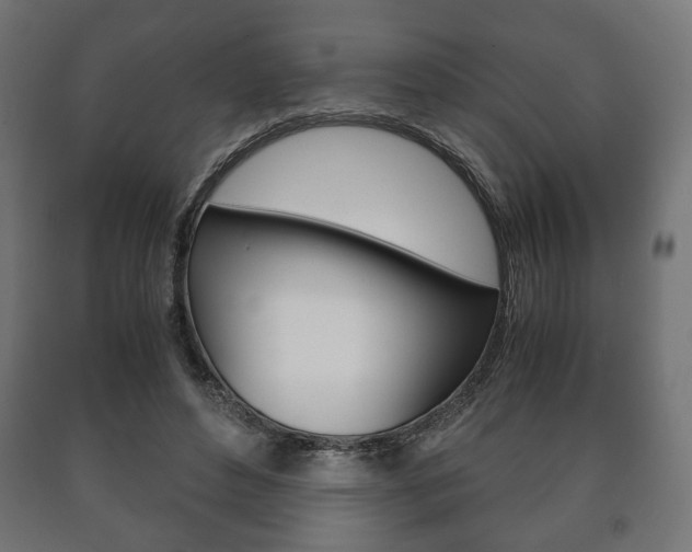 X0000090990496200708021207