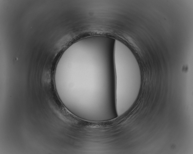 X0000090990500200708021207