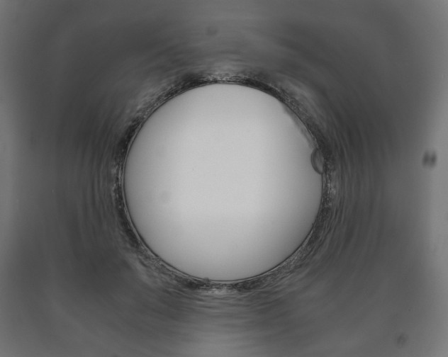 X0000090990503200708021206