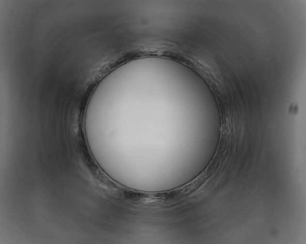 X0000090990504200708021206